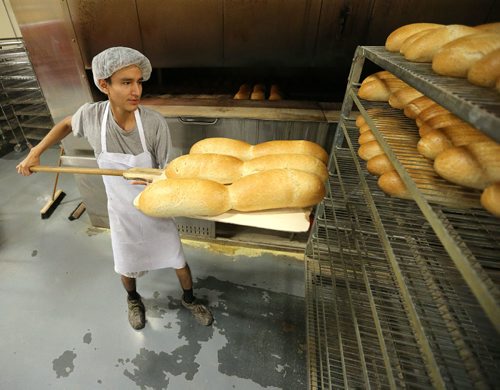 JASON HALSTEAD / WINNIPEG FREE PRESS

Employee Justin Ross puts loaves of rye onto a cooling rack at KUB Bakery on Erin Street in the West End on Nov. 2, 2016. KUB Bakery has been making Winnipeg-style Rye bread, using virtually the same recipe, since 1923. (See Sanderson The City story for Sunday, Nov. 6, 2016)