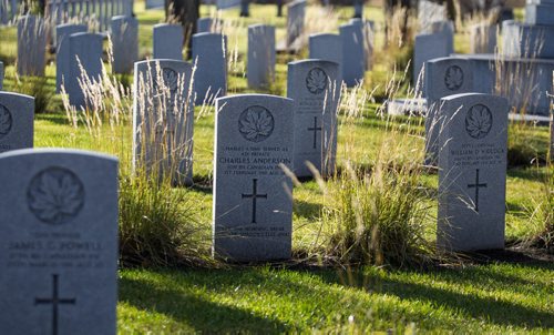 MIKE DEAL / WINNIPEG FREE PRESS
Early morning light warms up the headstones of fallen soldiers in the Brookside Cemetery Field of Honour Sunday. The cemetery held a tour and remembrance service to honour the more than 11,000 war veterans interred there.
161106 - Sunday November 6, 2016