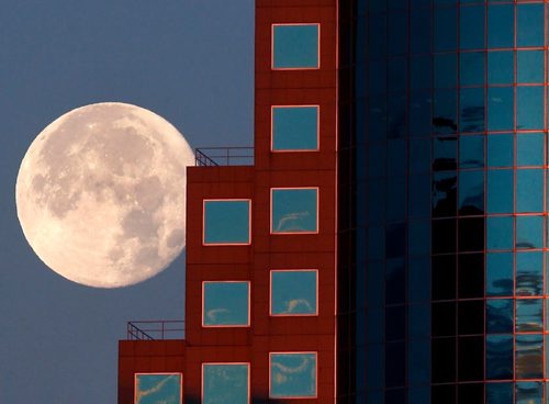 WAYNE GLOWACKI / WINNIPEG FREE PRESS

The moon sets behind the 201 Portage Ave. office tower on this clear Tuesday morning. Nov. 15 2016