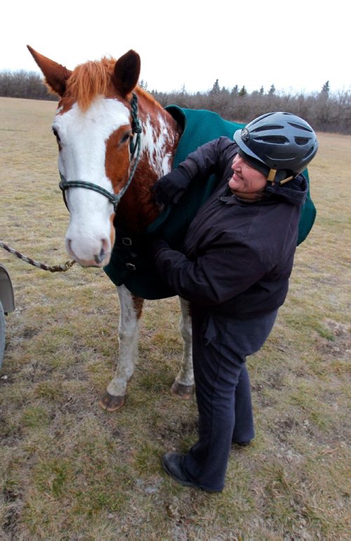 BORIS MINKEVICH / WINNIPEG FREE PRESS
STANDUP - Deanne Miller gets a warm jacket on Jasper the Paint horse after a long walk through Birds Hill Park this afternoon. Miller usually goes with her neighbour. They trailer the horses from their homes which are approx 5 miles away from the park. This will be the 43rd ride for Jasper this year with a total of 65 hrs, by far the most Miller has done since she was a teenager. The horse was sweaty and was 16 years old. Nov 17, 2016
