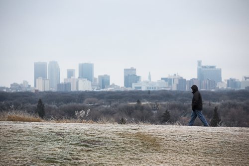 MIKE DEAL / WINNIPEG FREE PRESS
Argenis Rodas out for a walk across the top of the hill in Westview Park Sunday afternoon. 
161127 - Sunday November 27, 2016