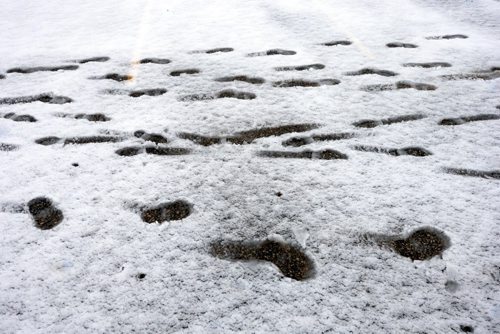 WAYNE GLOWACKI / WINNIPEG FREE PRESS
 49.8 Slush photo page. Foot prints track across the Canad Inns Polo Park parking lot after the overnight snowfall on Tuesday.   November 29 2016