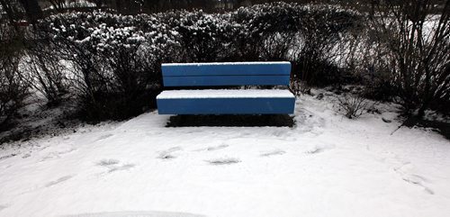 PHIL HOSSACK / WINNIPEG FREE PRESS - Snow/Patterns/Page.  A blue bench and tracks in Norwood Grove Park. November 28, 201