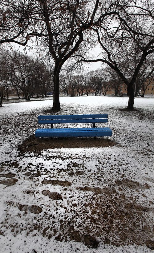 PHIL HOSSACK / WINNIPEG FREE PRESS - Snow/Patterns/Page.  A blue bench surrounded by tracks in Norwood Grove Park. November 28, 201