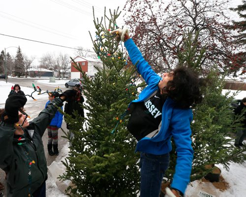 WAYNE GLOWACKI / WINNIPEG FREE PRESS

Shloke Srivastava, a grade 11 Vincent Massey School student jumped at the opportunity to hang Christmas tree lights on top of one of the twelve trees set up by fellow student volunteers in front of the Brummitt-Feasby ALS House Monday.  This is  part of the ALS Society of Manitobas Annual Lite Up a Life Campaign that runs until January 31. You can donate to the ALS Society of Manitoba and literally light up a holiday tree at the Brummitt-Feasby House. Bulbs are $10.00 for 10, $20.00 for 25, $50.00 for 75 or lite up a whole tree for just $150.00.  The trees donated by the Lacoste Garden Centre will be lit at a ceremony on December 7th at 7:00 pm. Dec. 5 2016