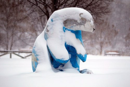 BORIS MINKEVICH / WINNIPEG FREE PRESS
Winter storm - The Bears on Broadway bears in behind the Manitoba Legislature weather the storm this morning. Dec. 6, 2016