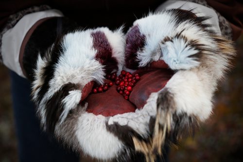 JOHN WOODS / WINNIPEG FREE PRESS
Life on the tundra just outside Baker Lake September 24, 2016
