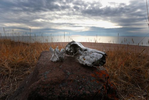 JOHN WOODS / WINNIPEG FREE PRESS
Life on the tundra just outside Baker Lake September 24, 2016
