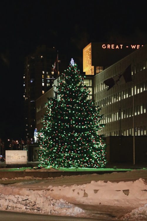Canstar Community News Don Kubaras blue spruce tree serves as a Christmas tree at Great West Life on Broadway and Osborne Street on Dec. 14, 2016.