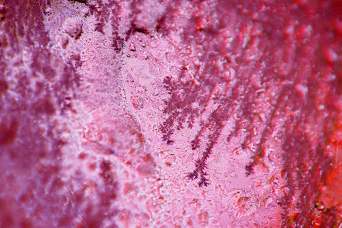 JOHN WOODS / WINNIPEG FREE PRESS
Abstract image of Christmas lights at 503 Kildare seen through water/ice on glass Tuesday, December 20, 2016.