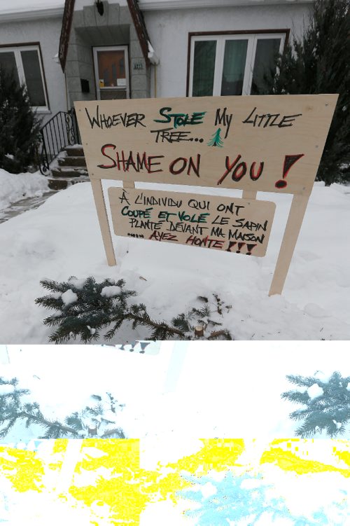 JOHN WOODS / WINNIPEG FREE PRESS
The Youville St homeowner is so upset at having their small tree cut down that they have put up a sign Sunday, December 25, 2016.

