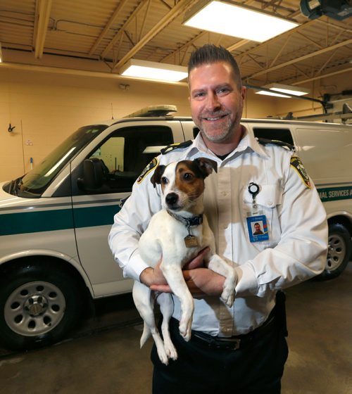 WAYNE GLOWACKI / WINNIPEG FREE PRESS 

  Leland Gordon, COO Animal Services Agency holds Jingles, a four year old male Jack Russell Terrier mix available for adoption. He was found wondering the streets of Winnipeg. This for story is about zero-tolerance pet licensing in Winnipeg.  Ashley Prest story Jan.3 2017
