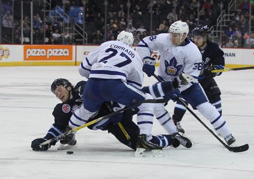 RUTH BONNEVILLE / WINNIPEG FREE PRESS

Manitoba Moose #48 BRENDAN LEMIEUX crashes after he gets sandwiched between Toronto Marlies # 27 Frank Corrado and #38 Colin Greening during second period action at MTS Centre Wednesday night.  

Jan 04, 2017