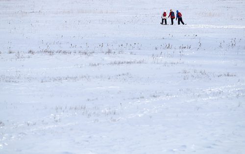 TREVOR HAGAN / WINNIPEG FREE PRESS
From left, Julie Chih-Yu Chen, Alexandra Kuznetsova, and Sergey Pochikovskiy snowshoeing at the Living Prairie Museum, Sunday, January 8, 2017