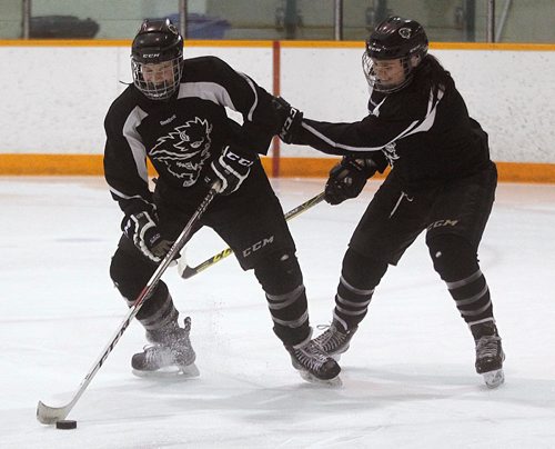 PHIL HOSSACK / WINNIPEG FREE PRESS -  U of M Bison Erica Rieder (left) works the puck around team mate Alanna Sharman at the team workout Thursday.  See story. ....January 12, 2017