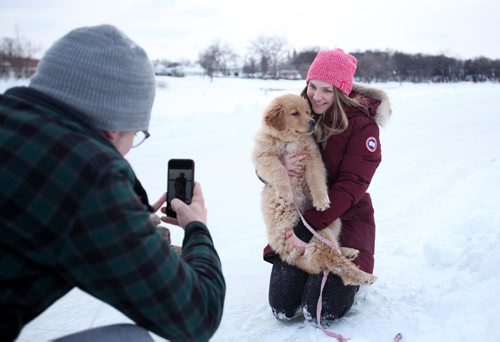 RUTH BONNEVILLE / WINNIPEG FREE PRESS

Gus Gottfred takes a photo of his girlfriend Madelaine Lapointe holding a 4-month-old puppy named "Ruffin" while skating  on the River Trail on the Red River later Friday afternoon.  The couple were out for their Valentine's Day date early due to work commitments on Feb 14th.  
Standup photo 
Feb 10, 2017
