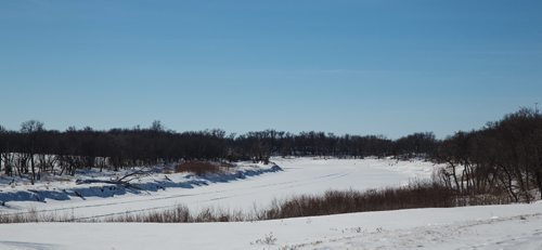 MIKE DEAL / WINNIPEG FREE PRESS
Tracks can be seen in the snow close to the American border at Emerson, Manitoba.
170212 - Sunday, February 12, 2017.