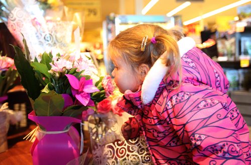 RUTH BONNEVILLE / WINNIPEG FREE PRESS

Little Priya Jerome (3yrs) was spotted picking out flowers at the flower shop at Safeway in Osborne Village with her dad  for her mom for Valentine's Day Tuesday afternoon.  

Feb 11, 2017

