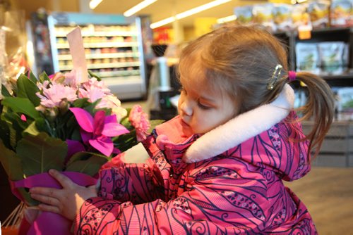 RUTH BONNEVILLE / WINNIPEG FREE PRESS

Little Priya Jerome (3yrs) was spotted picking out flowers at the flower shop at Safeway in Osborne Village with her dad  for her mom for Valentine's Day Tuesday afternoon.  

Feb 11, 2017
