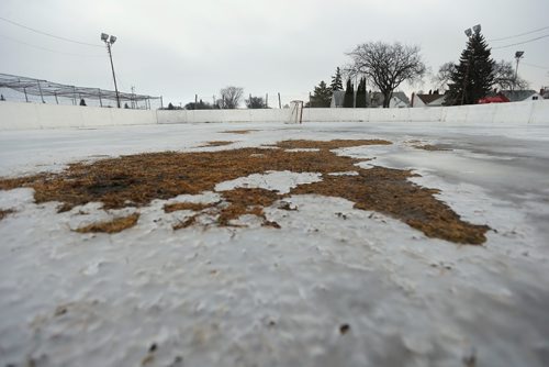 JOHN WOODS / WINNIPEG FREE PRESS
Ice melts on a city rink at Sinclair Park Community Centre Tuesday, January 21, 2017. City rinks may close earlier than usual due to unseasonably high temperatures.