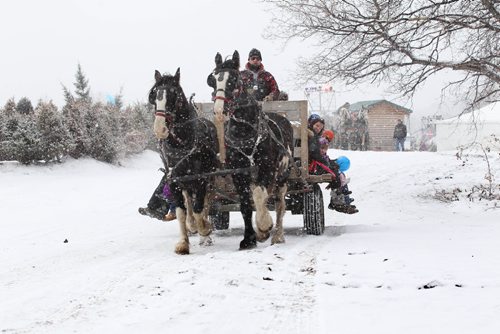 RUTH BONNEVILLE / WINNIPEG FREE PRESS

People of all ages enjoy a horse-drawn hey ride with Bar 32 Horse Drawn Ventures Inc. along the Red River  at the Festival du Voyageur site in the light falling snow Saturday
site 
Feb 25, 2017
