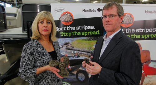 BORIS MINKEVICH / WINNIPEG FREE PRESS
NEWS - From left: Sustainable Development Minister Cathy Cox and Geoff Powell from Mid-Canada Marine and Powersports Dealers Association pose with some examples of Zebra Muscles at MB Gov. press conference launching a public awareness campaign called "Spot the Stripes and Stop the Spread". Photo taken at Enns Brothers, 925 Lagimodiere Blvd. March 2, 2017 170302