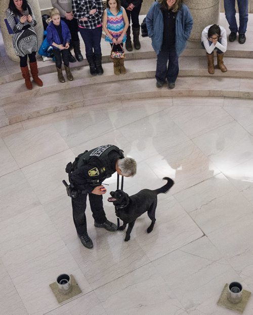 MIKE DEAL / WINNIPEG FREE PRESS
Winnipeg Police Patrol Sergeant Wally Antoniuk with K-9 Officer Jester inside the Manitoba Legislative Building during a demonstration.
Members of the Winnipeg Police Service K-9 Unit and a therapy horse from Cloud 9 stables conduct demonstrations at the Manitoba Legislative building in support of Provincial Bill 201 which is up for debate in the Manitoba Legislature.
170307 - Tuesday, March 07, 2017.