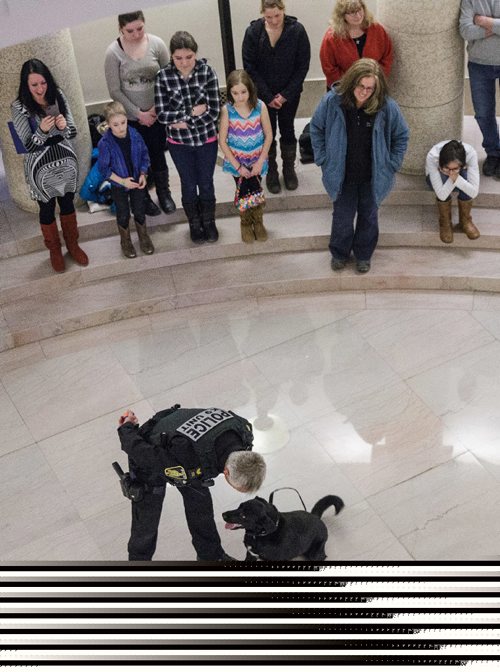 MIKE DEAL / WINNIPEG FREE PRESS
Winnipeg Police Patrol Sergeant Wally Antoniuk with K-9 Officer Jester inside the Manitoba Legislative Building during a demonstration.
Members of the Winnipeg Police Service K-9 Unit and a therapy horse from Cloud 9 stables conduct demonstrations at the Manitoba Legislative building in support of Provincial Bill 201 which is up for debate in the Manitoba Legislature.
170307 - Tuesday, March 07, 2017.