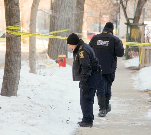BORIS MINKEVICH / WINNIPEG FREE PRESS
Police and Forensic Unit members look for clues near the crime scene in the 200 block of Spence Street this morning. March 13, 2017 170313