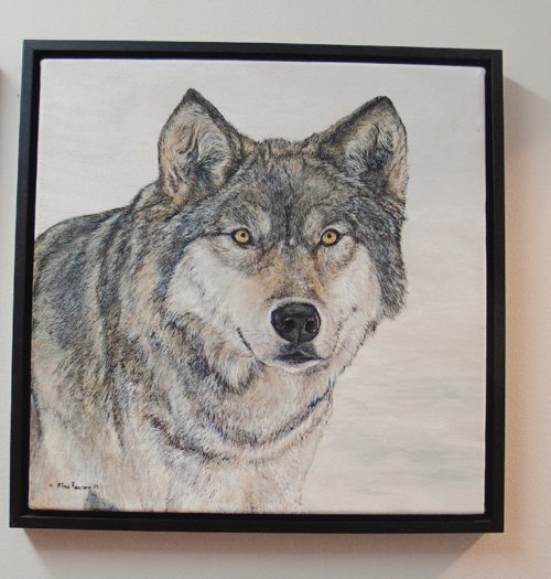 Canstar Community News Wolves are one of Elma Rauser's favourite subjects to paint. (SHELDON BIRNIE/CANSTAR/THE HERALD)