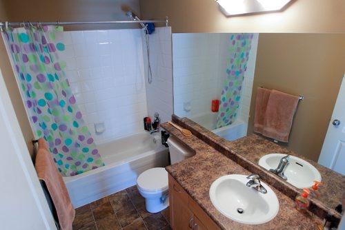 BORIS MINKEVICH / WINNIPEG FREE PRESS
PRE OWNED HOMES - 71 Roehampton Place in River Park South. Contact is realtor Kees den Ouden. Second floor bathroom. March 14, 2017 170314
