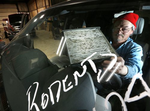 WAYNE GLOWACKI / WINNIPEG FREE PRESS

Randy Fincaryk, Manager at  Winnipeg RV Service and Repair holds the the cabin air filter from this SUV that has rodent droppings in it. The photo was taken through the front window.   Kelly Taylor  story  March 20    2017