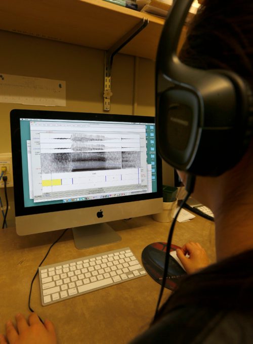 WAYNE GLOWACKI / WINNIPEG FREE PRESS

49.8 Student Lanlan Li with a Spectrogram on her computer screen that measures acoustic frequencies. She is in the U of M language lab.  Melissa Martin story    March 23    2017