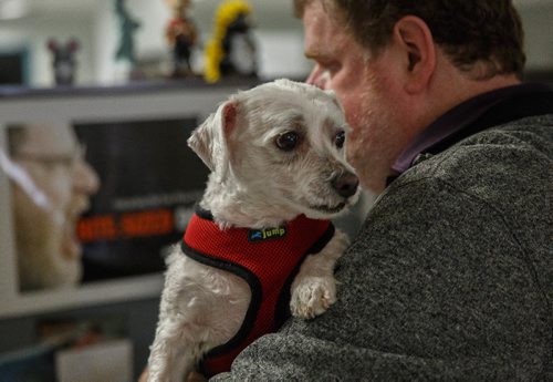 MIKE DEAL / WINNIPEG FREE PRESS
Winnipeg Free Press humour columnist Doug Spiers with Bogey in the newsroom. The Free Press is starting an experiment, allowing employees to bring their dog into work. 
170320 - Monday, March 20, 2017.