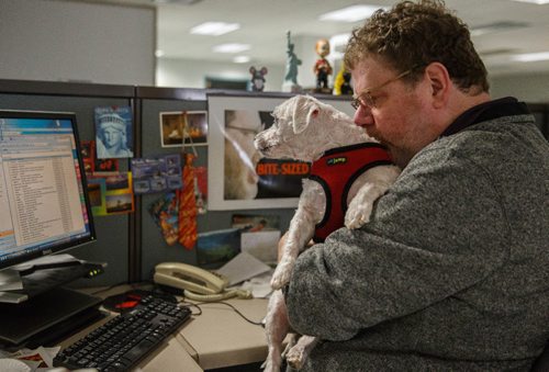 MIKE DEAL / WINNIPEG FREE PRESS
Winnipeg Free Press humour columnist Doug Spiers with Bogey in the newsroom. The Free Press is starting an experiment, allowing employees to bring their dog into work. 
170320 - Monday, March 20, 2017.