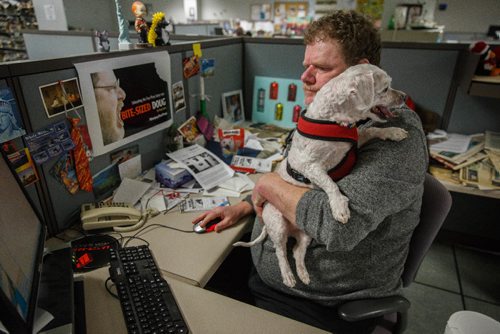 MIKE DEAL / WINNIPEG FREE PRESS
Winnipeg Free Press humour columnist Doug Spiers with Bogey in the newsroom. The Free Press is starting an experiment, allowing employees to bring their dog into work. 
170320 - Monday, March 20, 2017.