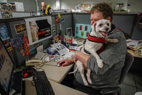 MIKE DEAL / WINNIPEG FREE PRESS
Winnipeg Free Press humour columnist Doug Spiers with Bogey in the newsroom. The Free Press is starting an experiment, allowing employees to bring their dog into work. 
170320 - Monday, March 20, 2017.