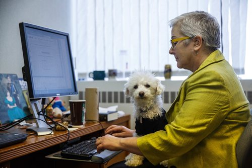 MIKE DEAL / WINNIPEG FREE PRESS
Winnipeg Free Press Perspectives and politics editor Shannon Sampert at her desk with Norman. The Free Press is starting an experiment, allowing employees to bring their dog into work. 
170320 - Monday, March 20, 2017.