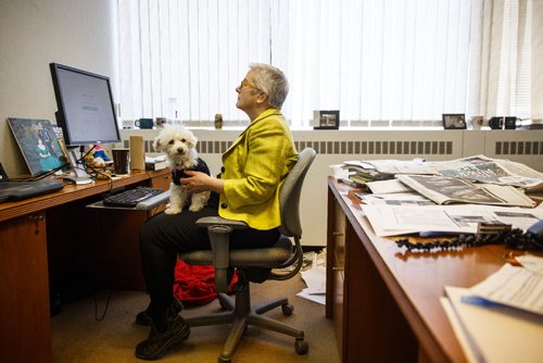 MIKE DEAL / WINNIPEG FREE PRESS
Winnipeg Free Press Perspectives and politics editor Shannon Sampert at her desk with Norman. The Free Press is starting an experiment, allowing employees to bring their dog into work. 
170320 - Monday, March 20, 2017.