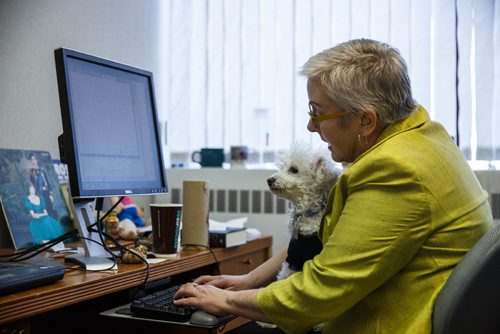 MIKE DEAL / WINNIPEG FREE PRESS
Winnipeg Free Press Perspectives and politics editor Shannon Sampert at her desk with Norman. The Free Press is starting an experiment, allowing employees to bring their dog into work. 
170320 - Monday, March 20, 2017.
