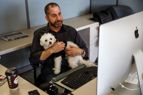 MIKE DEAL / WINNIPEG FREE PRESS
Winnipeg Free Press Day Production editor Jeff Slusky at his desk with Shannon Sampert's dog Norman. The Free Press is starting an experiment, allowing employees to bring their dog into work. 
170320 - Monday, March 20, 2017.