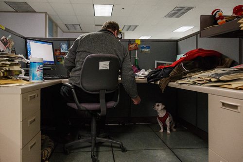 MIKE DEAL / WINNIPEG FREE PRESS
Winnipeg Free Press humour columnist Doug Spiers with Bogey in the newsroom. The Free Press is starting an experiment, allowing employees to bring their dog into work. 
170320 - Monday, March 20, 2017.