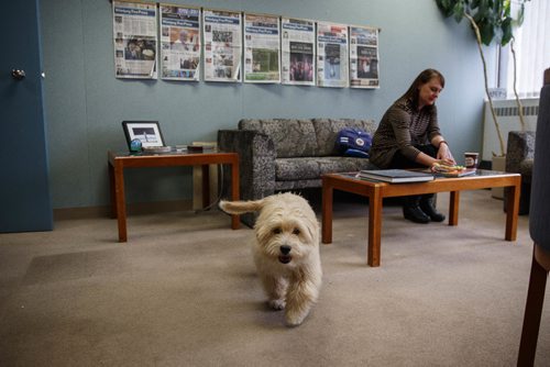 MIKE DEAL / WINNIPEG FREE PRESS
Winnipeg Free Press page designer Leesa Dahl during a handover meeting with her dog Oliver. The Free Press is starting an experiment, allowing employees to bring their dog into work. 
170322 - Wednesday, March 22, 2017.