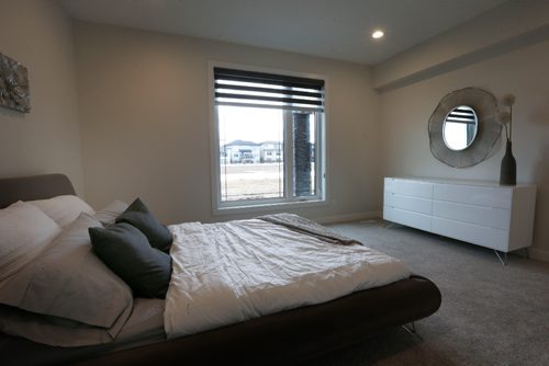 WAYNE GLOWACKI / WINNIPEG FREE PRESS

Homes.  The bedroom on the lower level at 20 Clear Spring Road in Bridgwater Lakes. The KDR Homes sales rep Josie Garofoli. Todd Lewys story    March 27    2017