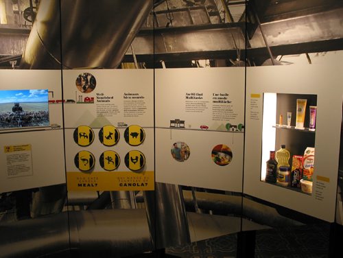 Canstar Community News March 8, 2017 - The canola travelling exhibition was displayed at the Canola Council of Canada's conference. (ANDREA GEARY/CANSTAR COMMUNITY NEWS)