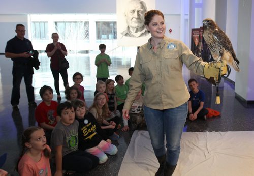 RUTH BONNEVILLE  / WINNIPEG FREE PRESS


**Live Animal Displays - Alloway Hall - MB Museum - Standup photo
Shawna Hewson, Education Program Coordinator with the Wildlife Haven Rehabilitation Centre holds  R2, a rescued Red Tailed Hawk for a group of children and adults in Alloway Hall at the MB Museum Wednesday afternoon.  


March 29, 2017
