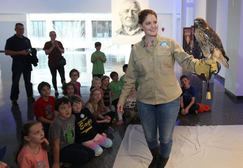 RUTH BONNEVILLE / WINNIPEG FREE PRESS
**Live Animal Displays - Alloway Hall - MB Museum - Standup photo
Shawna Hewson, Education Program Coordinator with the Wildlife Haven Rehabilitation Centre holds R2, a rescued Red Tailed Hawk for a group of children and adults in Alloway Hall at the MB Museum Wednesday afternoon.
March 29, 2017
