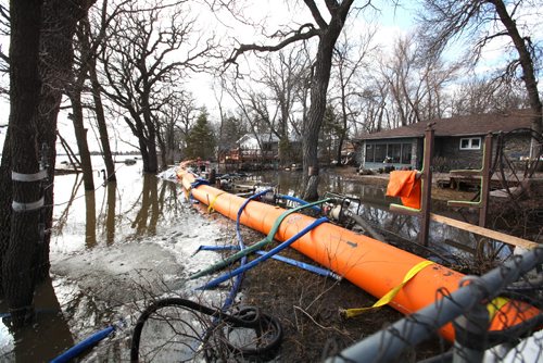 RUTH BONNEVILLE  / WINNIPEG FREE PRESS

Photo of Homes on Chesley cresent in Netley Creek who experienced overnight flooding that required homeowners and the volunteer Fire Department  to pump water out of their yards to  avoid major devastation to their homes.  
See Melissa Martin story.


April 01, 2017