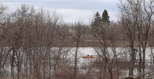 MIKE DEAL / WINNIPEG FREE PRESS

Kayakers follow the flow of the very high Red River close to the University of Manitoba Sunday afternoon. 
 
170402
Sunday, April 02, 2017