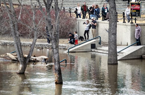 RUTH / BONNEVILLE WINNIPEG FREE PRESS

People view the  Assiniboine River  as it overflows the walkway and banks at the Forks Saturday. 
Standup photo


April 8, 2017
